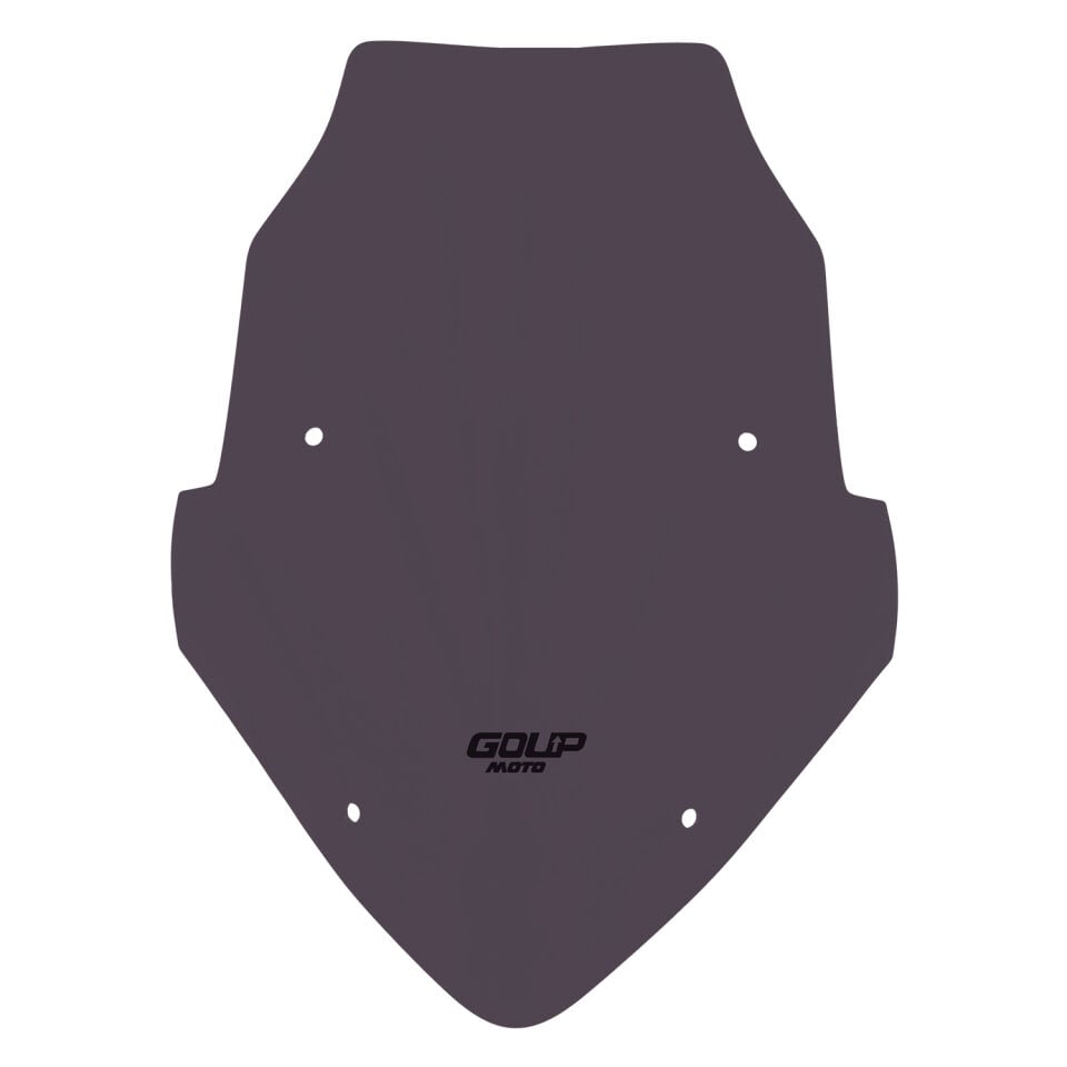 Goup Moto Bajaj Pulsar NS 200 2011-2025 Spor Ön Cam Füme