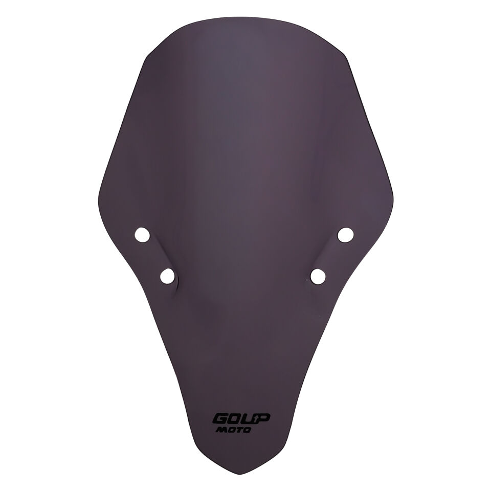 Goup Moto CF Moto 250 SR 2020-2025 Ön Cam Füme