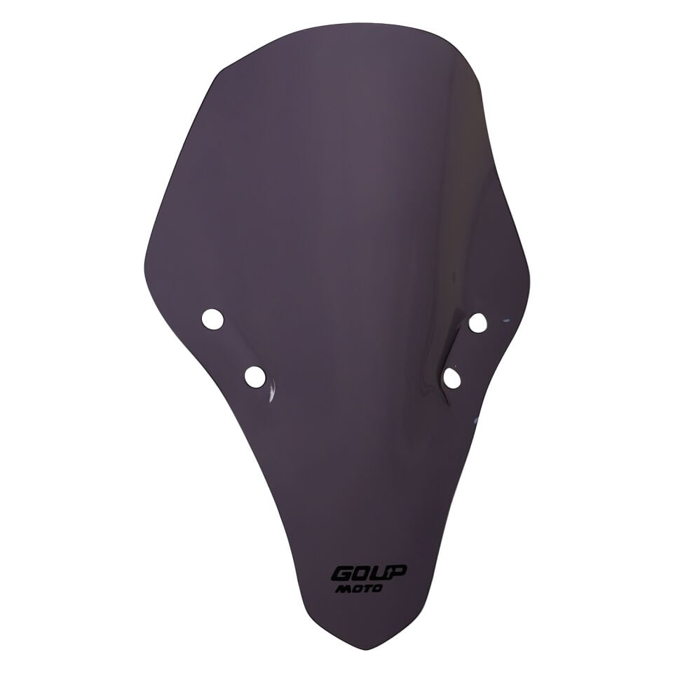 Goup Moto CF Moto 250 SR 2020-2025 Ön Cam Füme