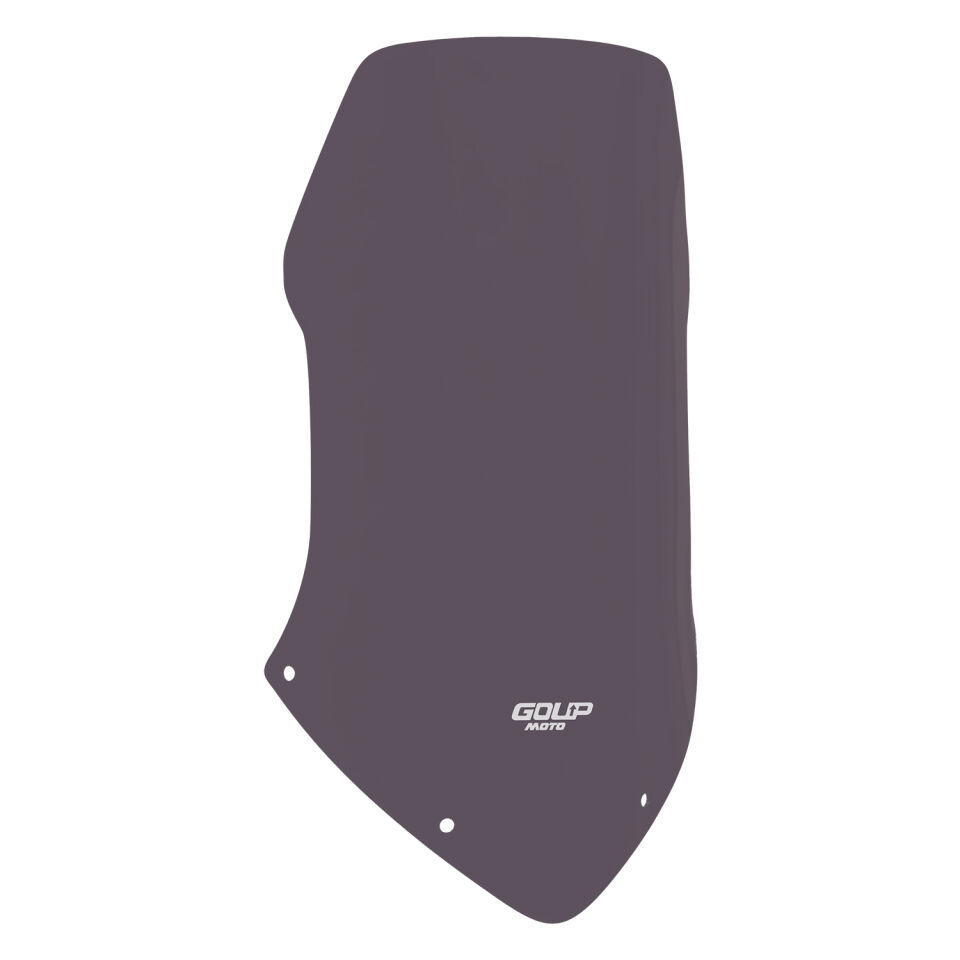 Goup Moto Honda CBF150 2005-2017 Ön Cam Füme