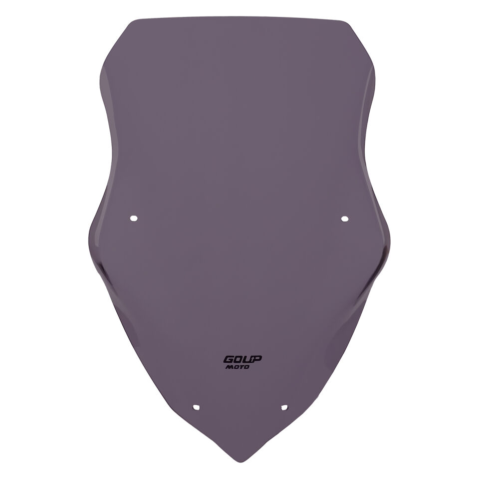 Goup Moto SYM Jet 14 2017-2024 Ön Cam Füme