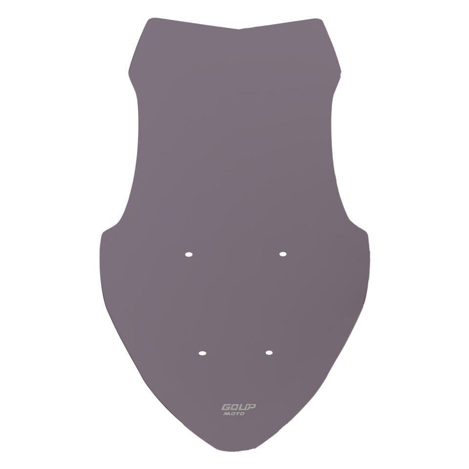 Goup Moto RKS Freccia 150 2022-2026 Ön Cam Füme