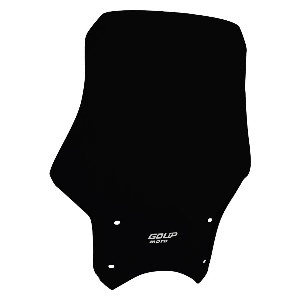 Goup Moto Honda CB250R 2018-2024 Ön Cam Siyah