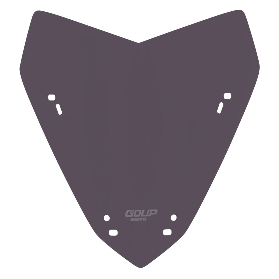 Goup Moto Yamaha XMAX 250 2024-2026 Spor Ön Cam Füme