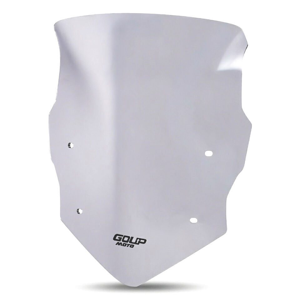 Goup Moto TVS Raider 125 2021-2026 Ön Cam Füme